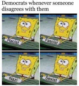 1000003527.jpg