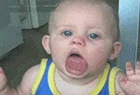 IMG_3203.gif