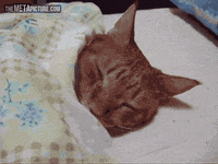 1748792446361.gif 1748792446361.gif