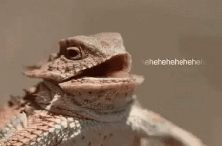1748811199599.gif