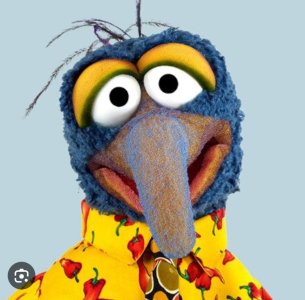 gonzo - Google Search.jpeg