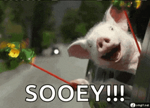 1748915994713.gif