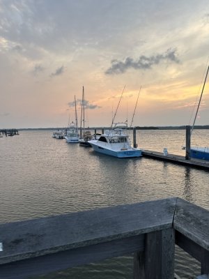 IMG_9920.jpeg