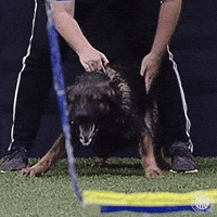 1749005475085.gif 1749005475085.gif