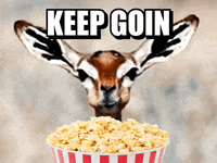 IMG_4038.gif
