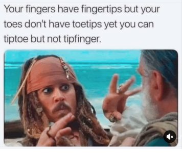 IMG_8281.jpeg