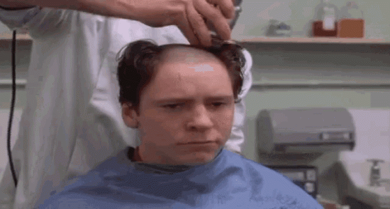 head-shave-barber-1128591020.gif