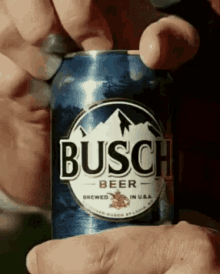 busch-beer.gif
