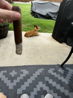 IMG_3004.jpeg