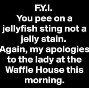 1749464403390.jpeg