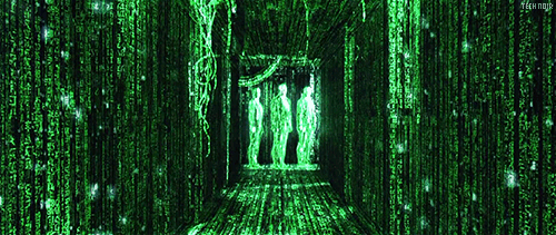 114376-1320854600.gif