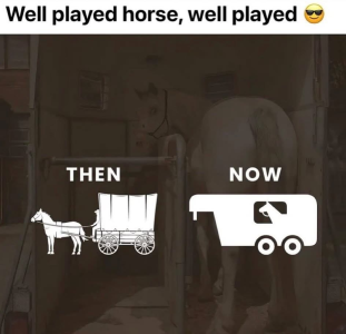 1749606135676.png