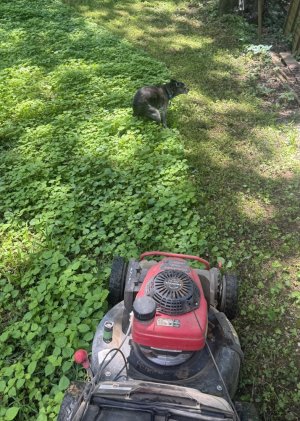 IMG_8100.jpeg