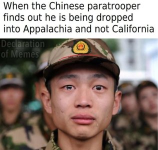 1456afw.woo.jpeg