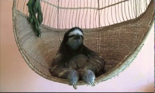 IMG_0203.gif
