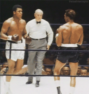 IMG_0296.gif
