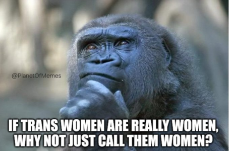 1750172638503.png
