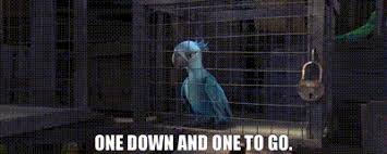 IMG_0333.jpeg