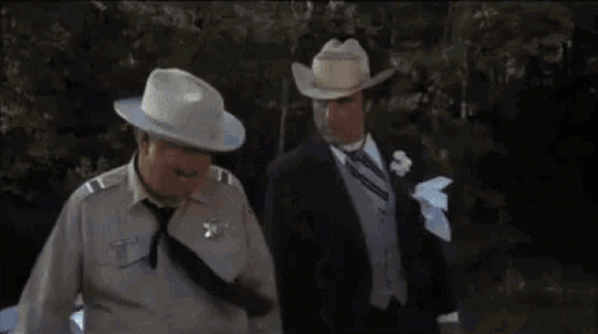 buford-t-justice-sheriff.gif