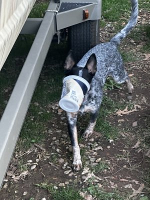 IMG_2267.jpeg
