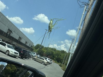 IMG_0472.jpeg