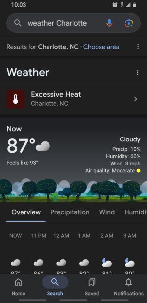 Screenshot_20250624-220327_Google.jpg