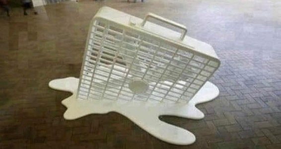 Heat victim.jpg
