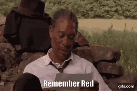 1751046630368.gif