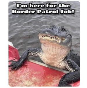 1751210820334.png