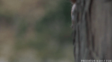 1751265024371.gif