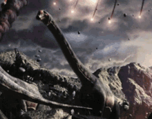 IMG_1989.gif