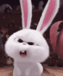1751396035030.gif