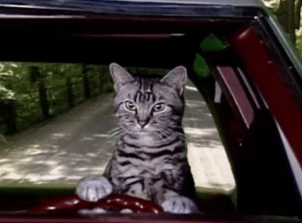 1751492940682.gif