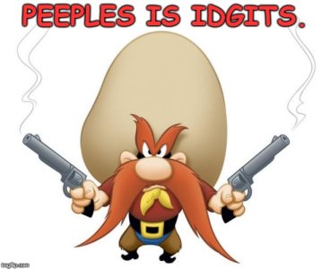 1751507158063.jpeg