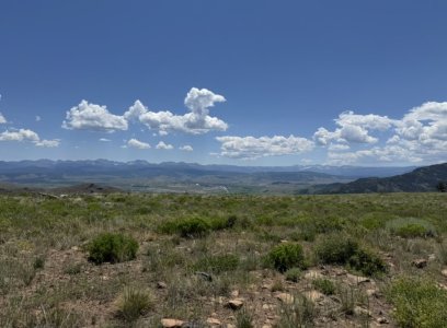 IMG_0782.jpeg