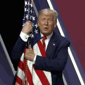 source (1).gif