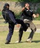 groin_kick.jpg