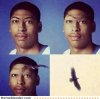 eagle-eyebrows.jpg