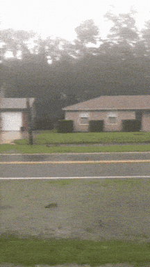 1751649158869.gif