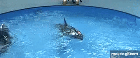 1751754489399.gif