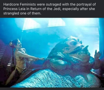 1751837077608.png