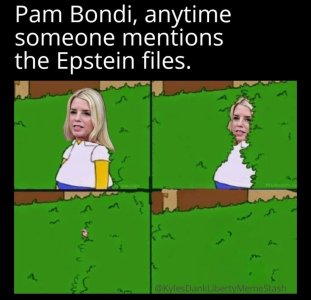 1000004268.jpg