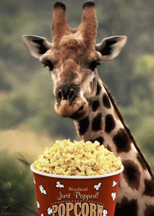 e8258b74f8f65baec6914bc694597168.gif