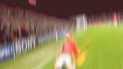 IMG_9960.gif