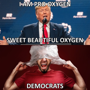 1752079169836.png