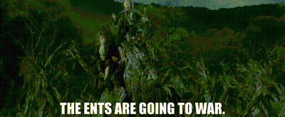 6ff37b2f-496c-4e61-9880-d40401e9daea_text-3773712341.gif