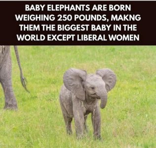FB_IMG_1752155455887.jpg