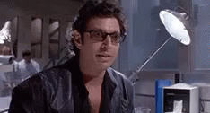 IMG_8312.gif