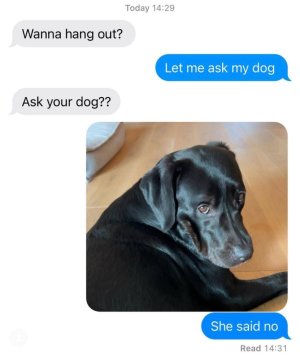 1000005149.jpg