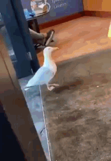 1752202607653.gif